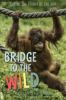 Go to record Bridge to the wild : behind the scenes at the zoo