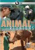 Go to record Animal reunions