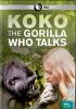 Go to record Koko : the gorilla who talks